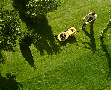 Lawn Mowing