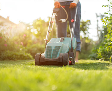 Lawn Mowing