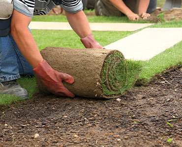 Sod Installation Service Sydney