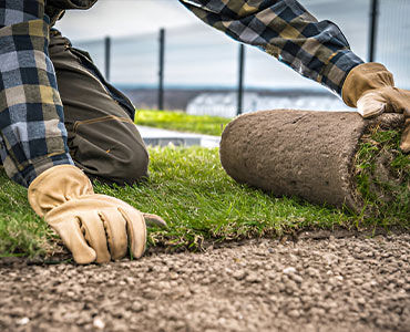 Sod Installation